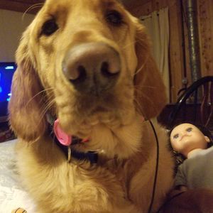 Meet your Posher, Lisa